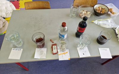 3rd Class Science Experiment